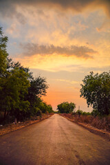 Naklejka premium Horizontal photo of country road with sunset in background. Grey road with trees on both sides and clear colorful evening sky without any vehicles.