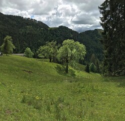 Fototapeta na wymiar Chiemgau Wanderung Breitenstein/Geigelstein