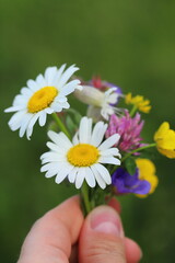 a bouquet of wild flowers collected by the child for the mother