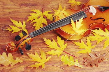 Violin and yellow maple leaves on wooden texture