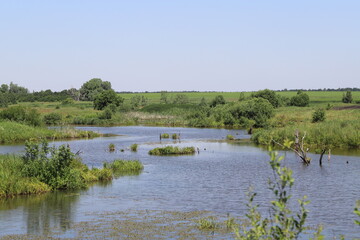 a beautiful river adorns the landscape and gives life to everything around