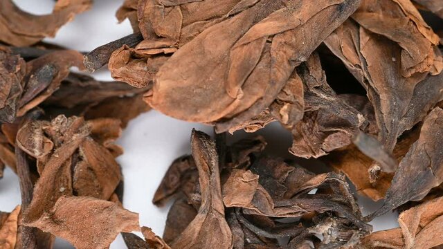 side view herb medicine JiDanHua or Plumeriae Acutifoliae Flos or Mexican Frangipani Flower rotating