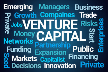 Venture Capital Word Cloud on Blue Background