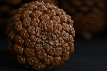 Pinecones on black background.
