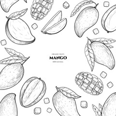 Vector frame with mango. Hand drawn. Vintage style