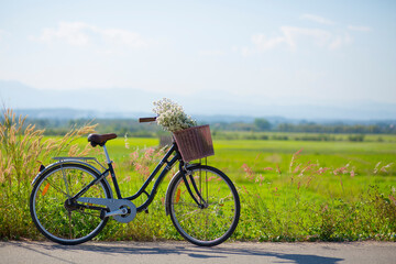 Fototapeta premium Vintage bike in the meadow at sunrise