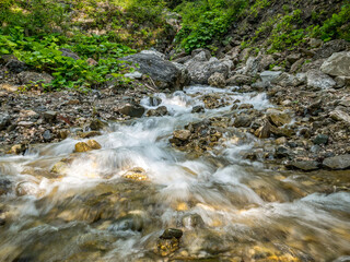 Water stream flowing between rocks into the forest. Water spring in Bucegi National Park.