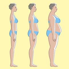 Slender, medium, and overweight. Side whole body of brown skinned female. Concept of health, beauty, and diet. Vector illustration.