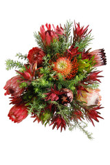 Bouquet of Protea Flowers with white background