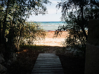 Fototapeta na wymiar Paisaje de playa con una pasarela de madera y árboles