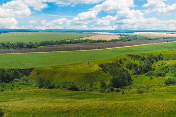 Large panoramic view of the landscape of wheat fields, ears and yellow-green hills, mountain view with lakes