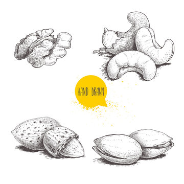 Hand drawn sketch style nuts set. Walnut, cashew, almonds and pistachios. Collection of healthy natural food. Vector illustrations isolated on white background.