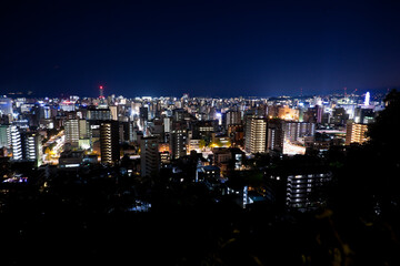 Fototapeta na wymiar 城山より見る鹿児島市街地の夜景