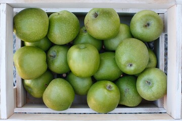 fresh green apples