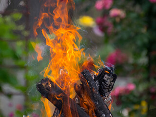 
background texture burnt wood fire flame