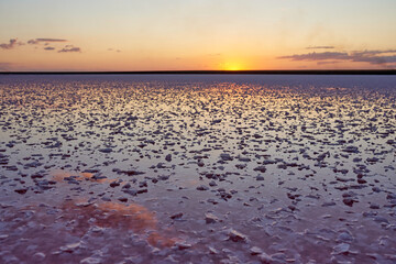 Beautiful view of a pink salt lake. Azov Ukraine