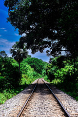 Obraz premium A picture of railway track with trees beside . The shadow of the tree is falling on the railway track