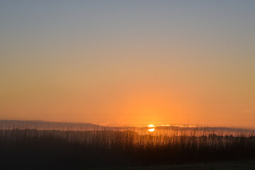 Sunrise over the reedlands of Den Helder.