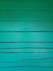 Obraz premium green wood texture