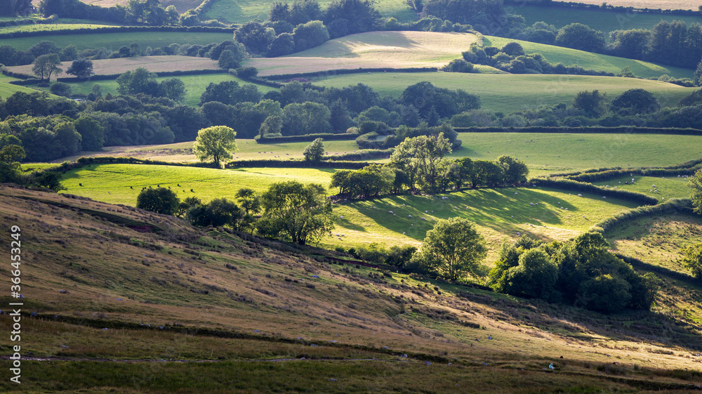 Wall mural the fields and farmland on the black mountain in south wales, uk