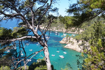 Sentier du littoral entre Saint-Cyr-sur-Mer et Bandol