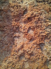 The structure of a stone on the Mediterranean coast close up.