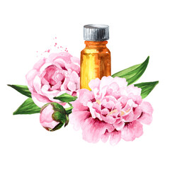 Pink peony Flowers and aroma essential oil in the bottle Hand drawn watercolor illustration isolated on white background