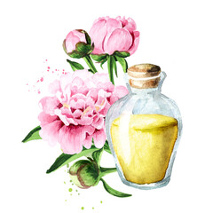 Pink peony Flowers and aroma essential oil in the bottle. Hand drawn watercolor illustration isolated on white background