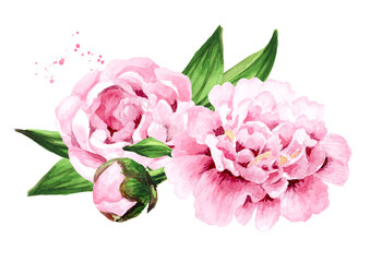 Pink peony Flowers. Hand drawn watercolor illustration isolated on white background © dariaustiugova