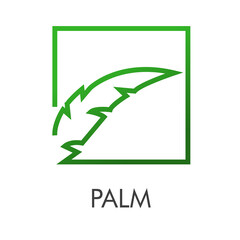 Logotipo abstracto con palabra Palm y una hoja árbol de palma lineal en cuadrado color verde