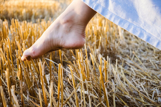 Overcome Obstacles Depression Concept. A Woman's Bare Foot Makes A Step Over A Sharp Prickly Mown Straw