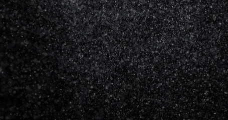 Fototapeta premium Natural white winter snowfall on a black background