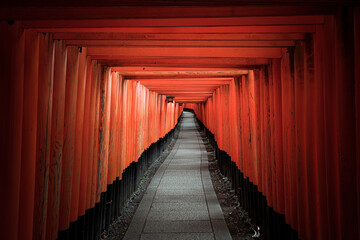誰もいない京都伏見稲荷大社の千本鳥居