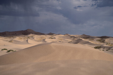Fototapeta na wymiar Samalayuca desert in Chihuahua
