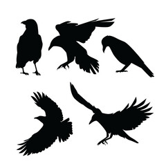 Set Crow Logo Template Design