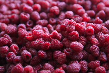 Raspberry berries background.
Garden raspberry. View from above.