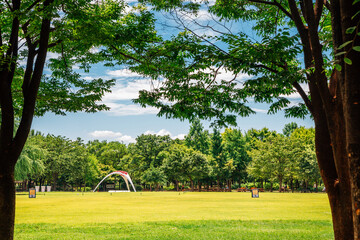 Grass field with green trees at Seoul forest park in Korea