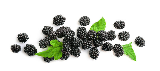 Fresh ripe juicy blackberries