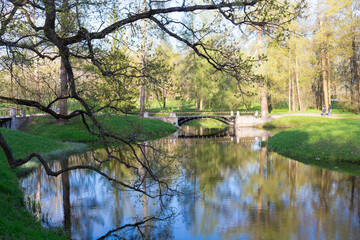 A metal bridge with a wrought-iron grating through the branches of trees, reflected in the water of...