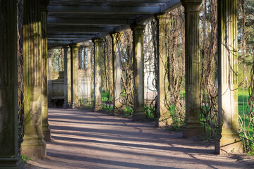 Arched Sandstone pergola overgrown with climbing plants in the Catherine Park of Tsarskoye Selo..