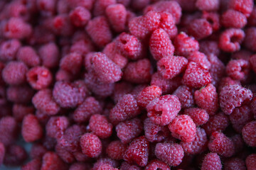 Raspberry berries background.
Garden raspberry. View from above.