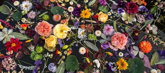 Foto op Plexiglas Veelkleurige bloemen op het wateroppervlak, bloemenbanner, bovenaanzicht. © Angelina
