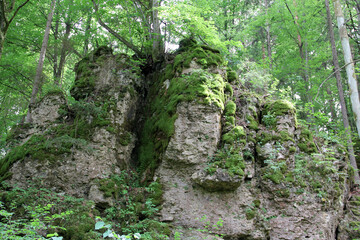 Fototapeta na wymiar Felsen in der Fränkischen Schweiz
