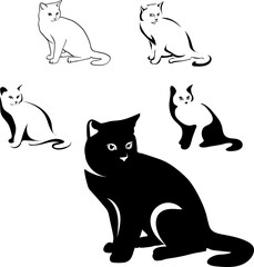 Fototapeta na wymiar cats black image in various positions