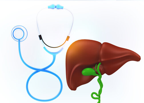 Human liver and a stethoscope white background. 3d illustration