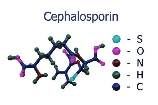 Molecular structure of cephalosporin. Cephalosporins are the class of beta-lactam antibiotics that may be used for patient who are allergic to penicillin. 3d illustration