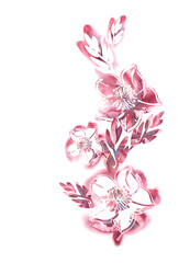 Watercolor Floral Illustration. Hand Painted  Flowers.