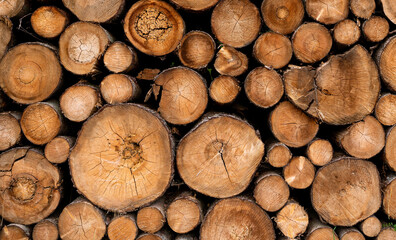 wooden logs lined up on top of each other