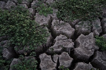 Top view of cracked soil texture background. Global warming
