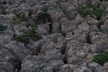 Fototapeta na wymiar Top view of cracked soil texture background. Global warming